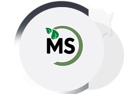 MS AGROS S.A. DE C.V.